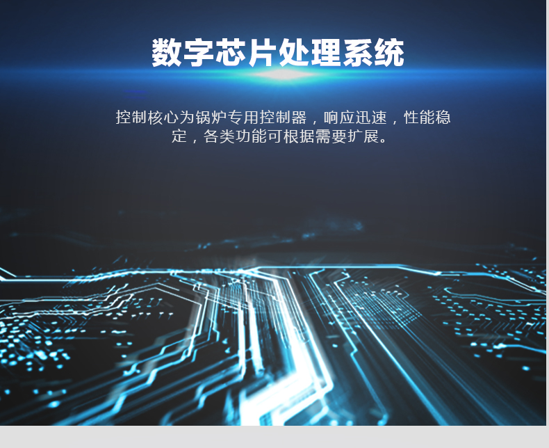 QF藍色電加熱蒸汽發生（shēng）器（qì）_09.jpg